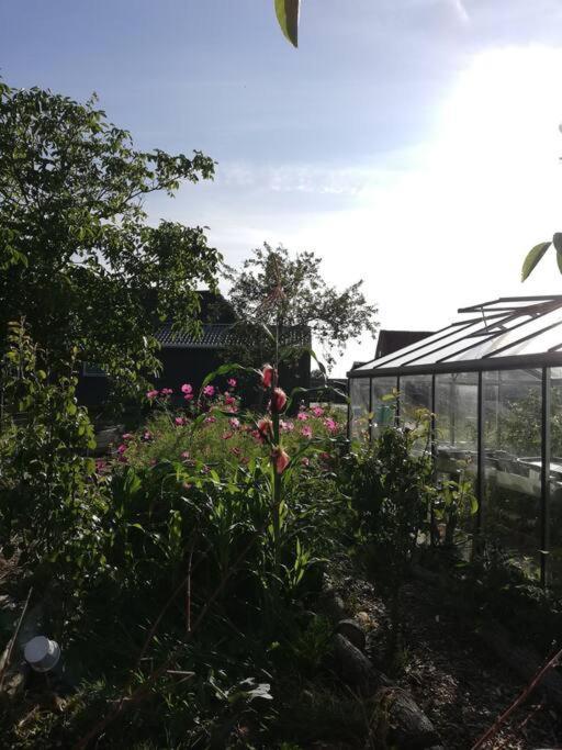 De Kaasmakerij - Ruim Vakantiehuisje Op Huize Blokland Hem エクステリア 写真