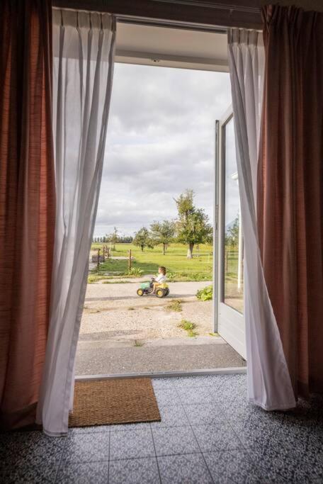 De Kaasmakerij - Ruim Vakantiehuisje Op Huize Blokland Hem エクステリア 写真